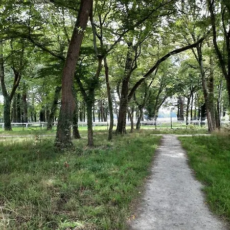 Apartment Bright 70 M Close To The Racetrack Park *
